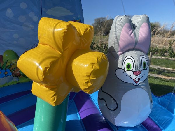 Easter Bunny Hire Cornwall